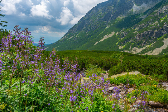 Hiking trail towards Rysy peak at High Tatras national park in S