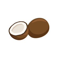 Brown ripe coconut fruit isolated in white