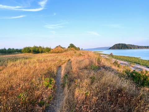 Coastal landscape on Sandy Island near Denman Island, British Columbia. Narrow dirt trail through golden grass meadow, blue ocean shoreline, forested hills, summer sky, Canadian nature, hiking, wilder