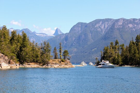 Luxury yachts anchored in a calm blue inlet surrounded by evergreen trees and rugged mountains under a clear summer sky at Prideaux Haven, Desolation Sound, British Columbia.