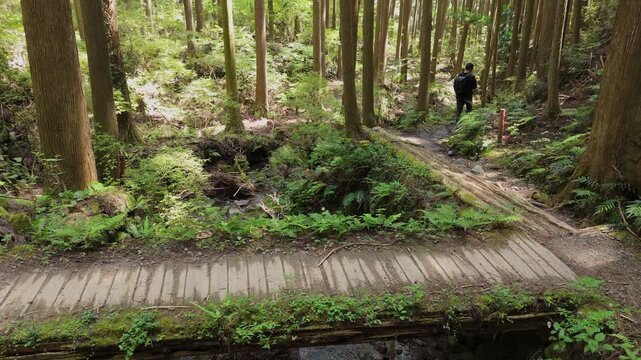 Kumano Kodo Nakahechi: From Osakamoto Oji Ruins to Chikatsuyu, Tanabe City, Wakayama　世界遺産 熊野古道・中辺路「大坂本王子(おおさかもとおうじ)跡から近露へ」和歌山県田辺市中辺路町