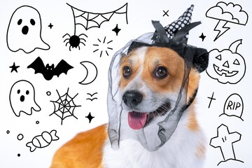 Cute dog wearing a witch hat, surrounded by halloween-themed doodles like ghosts, spiders, and pumpkins, creating a fun and spooky atmosphere.