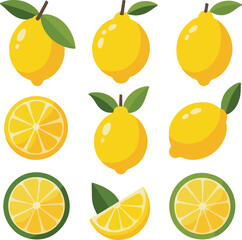 Obraz premium set of citrus fruits