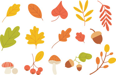 Fototapeta premium set of autumn leaves