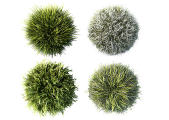 Four Isolated Grass Patches on Transparent Background