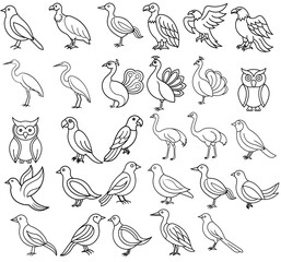Line drawings of various birds