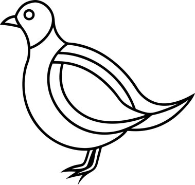 Bird Line 24