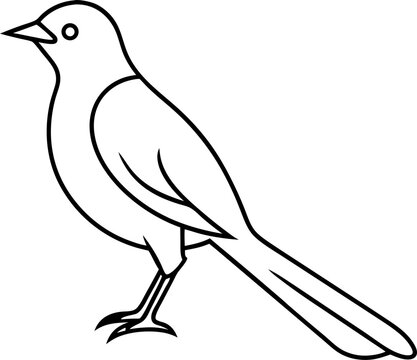 Bird Line 21