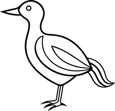 Bird Line 20