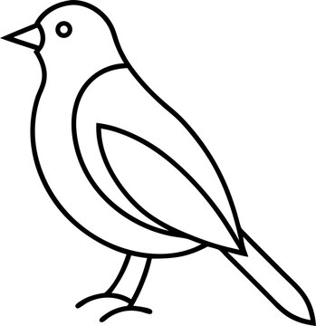 Bird Line 22