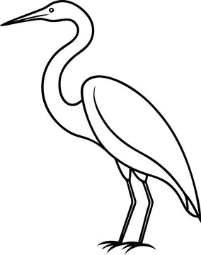Bird Line 16