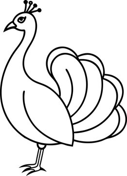 Bird Line 15