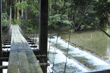 橋の下に見える魚の為の魚道