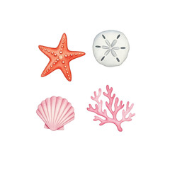 sea shells and starfish