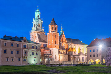 Obraz premium Wawel cathedral viewed during night in krakow, Poland