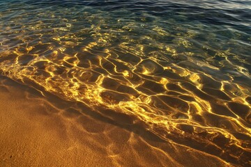 Golden sunlight on shallow beach water, summer day