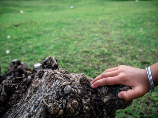 a hand touched Weathered Wood with Green Grass in the Background