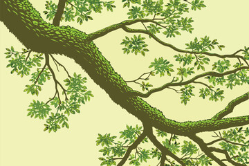 Fototapeta premium Detailed branches of a leafy tree curve across light background in a unique vector