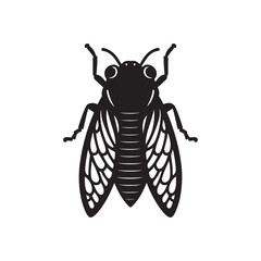 Black Color Cicada Silhouette Vector Illustration, Solid White Background.