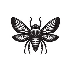 Black Color Cicada Silhouette Vector Illustration, Solid White Background.