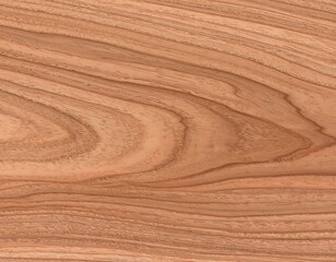 Close-up view of wood grain