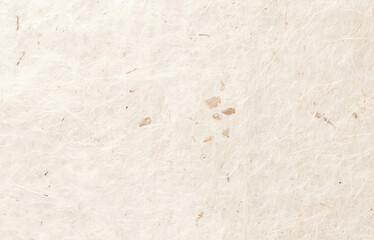 Natural handmade paper texture with fibers and organic details