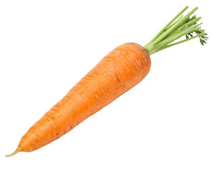 carrot isolated on white