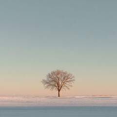 Lonely Tree on Winter Landscape with Soft Pastel Sky during Sunset in Serene Rural Setting