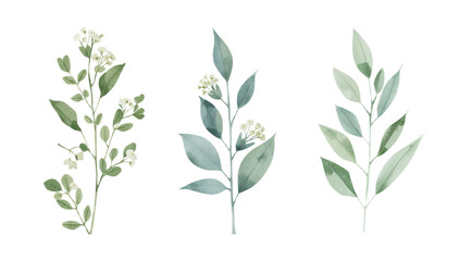 Fototapeta premium Set of three elegant watercolor botanical illustrations featuring lush green leaves and delicate white blossoms, perfect for natural design projects