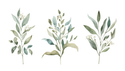 Obraz premium Collection of hand-painted watercolor botanical illustrations with green leaves, branches, and delicate flowers isolated on a white background
