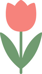Minimalist Simple Flat Style Tulip Flower Blossom with Green Leaves