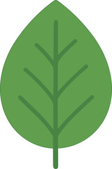 Simple Flat Style Minimalist Green Leaf Icon Illustration on White Background