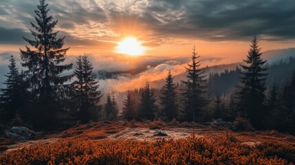 Sunrise over a mountain forest with fog