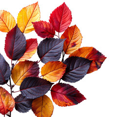 Fototapeta premium Vibrant autumn leaves on transparent background