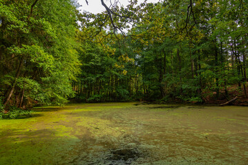 Lake at Kynzvart palace in Czech republic