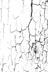 Abstract Black White Cracked Distress Grunge Texture Background
