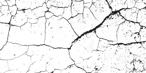 Monochromatic Cracked Earth Texture Abstract Distress Pattern