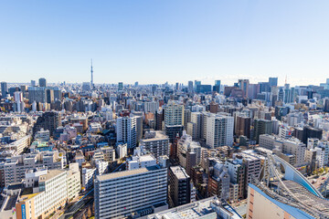 文京シビックセンターから見るスカイツリー方面