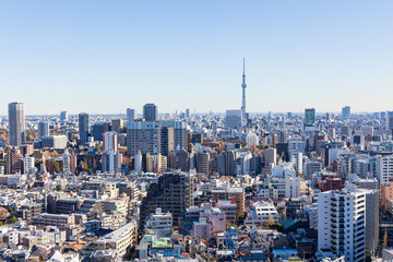 文京シビックセンターから見るスカイツリー方面