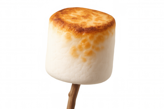 Roasting golden marshmallow on wooden skewer, isolated against transparent backdrop, highlighting classic summer treat