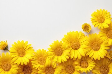 Bright yellow daisy-like flowers cluster at the bottom right, framing a pristine white backdrop, creating a cheerful and summery vibe