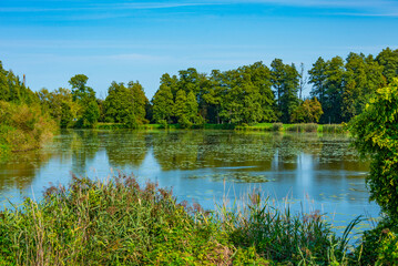 Pond at Bialowieza town in Poland