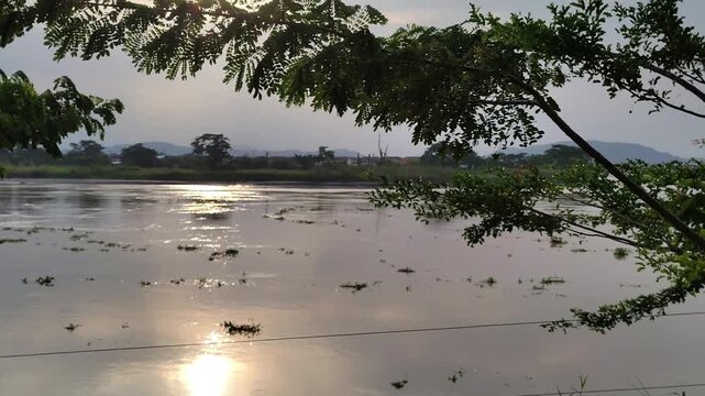 Wide shot video of slow watercourse and tropical landscape at background over sunset sky, daule river, guayas, ecuador