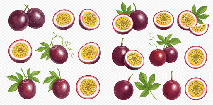 A collection of realistic purple passion fruits, shown whole, halved, and sliced with green leaves on a transparent background.