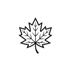 Obraz premium Simple outline drawing of a maple leaf on a white background