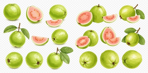 A collection of whole, halved, and sliced green guavas with pink flesh and leaves, isolated on a transparent background.