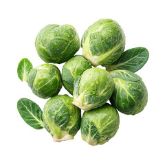 Fototapeta premium Fresh Brussels sprouts with visible water droplets, isolated on transparent background