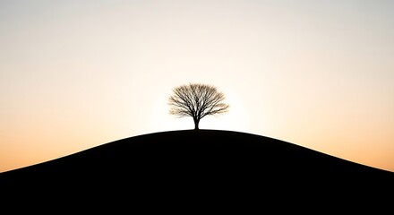 Lone tree silhouette on hill at sunset