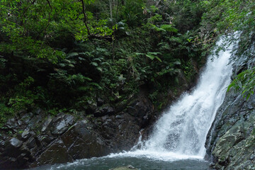 やんばるの森の比地大滝