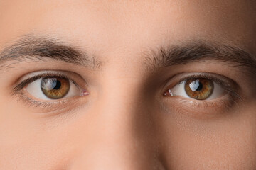 Obraz premium Young man with hazel eyes, closeup
